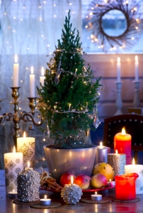 Hortese tootejuhi jõulupuu soovitused ETV Ringvaate saates!